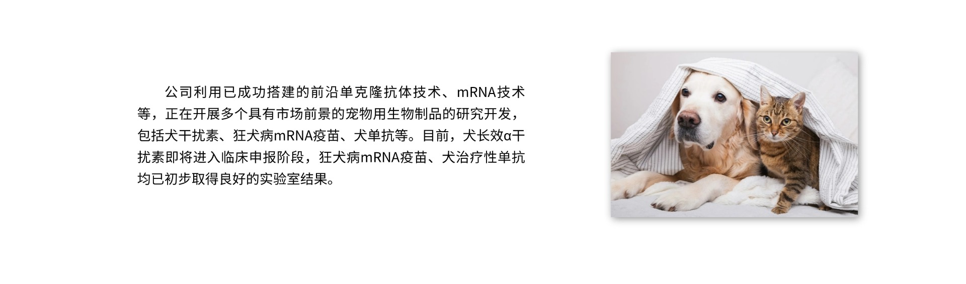 官网-企业介绍 (1).jpg